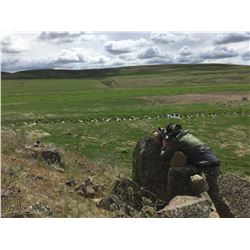 Alberta - Long Range Shooting Course - Call Sign 66