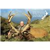 Image 1 : New Zealand 8-Day Red Stag, Bull Tahr, and Chamois Hunt for Three Hunters
