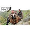 Image 2 : New Zealand 8-Day Red Stag, Bull Tahr, and Chamois Hunt for Three Hunters