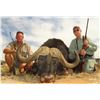 Image 5 : Phillip Bronkhorst Safaris – Two Hunters and Two Observers with $3500 Credit