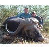 Image 1 : Zimbabwe – Roger Whittall Safaris – 7 Day Cape Buffalo Hunt