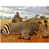 Image 7 : Marupa Safaris – Two Hunters with $4000 US Credit