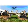 Image 1 : FIVE STAR OHIO WHITETAIL HUNTER FOR TWO HUNTERS