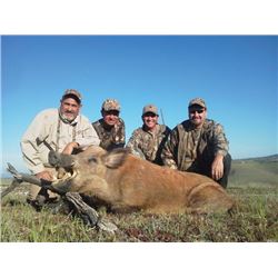 WED-06 Wild Boar Hunt, California