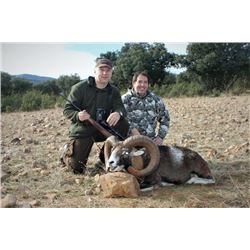 WED-12 Iberian Mouflon Hunt, Spain