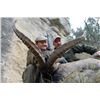 Image 2 : THD-13 Beceite Ibex Hunt for TWO Hunters, Spain