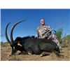 Image 2 : THD-21 Sable Hunt, South Africa
