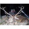 Image 2 : THD-22 Red Deer, Mouflon, or Fallow Deer Hunt (Hunter’s Choice), Spain