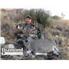 Image 2 : FB-04 Coues Deer and Mountain Lion Hunt for Two Hunters, Arizona