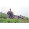 FB-05 Kamchatka Snow Sheep Hunt, Russia