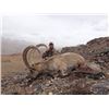 Image 2 : FB-08 Mid-Asian Ibex Hunt, Kyrgyzstan or Tajikistan