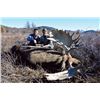 Image 2 : FB-09 Chukotka Moose Hunt, Magadan, Russia