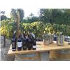 Image 2 : SA-02 Private Wine Tasting for up to 50 People