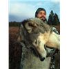 Image 2 : SA-04 Wolf and Coyote Hunt, Alberta