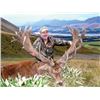 Image 1 : SA-06 Tahr and Red Stag Hunt, New Zealand
