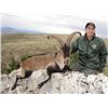 Image 2 : SA-18 Southeastern Ibex/European Mouflon Hunt, Spain