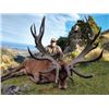 Image 2 : SA-34 Red Stag and Chamois Hunt, New Zealand