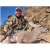 Image 2 : SB-10 Coues Deer Hunt, Sonora, Mexico