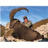 Image 2 : SB-12 European Ovis/Capra Hunt: Alpine Ibex Hunt, Switzerland / Iberian Mouflon Hunt, Spain