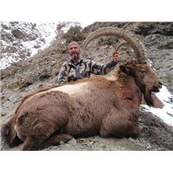 SB-16 Himalayan Ibex Hunt, Pakistan