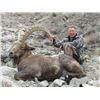 Image 2 : SB-16 Himalayan Ibex Hunt, Pakistan