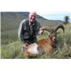 Image 2 : SB-17 Red Sheep or Armenian Mouflon Hunt, Texas