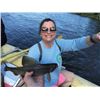 Image 1 : SLA-04 Arctic Grayling Fishing Trip for Four, Alaska