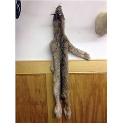 SLA-12 Tanned Lynx Hide