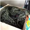 Image 2 : FISHING NET