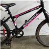 Image 2 : SUPER CYCLE IMPULSE BIIKE