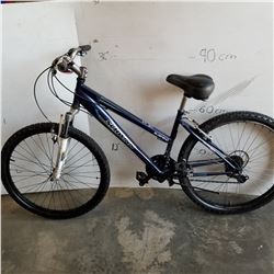 BLUE SCHWINN BIKE