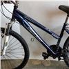 Image 2 : BLUE SCHWINN BIKE