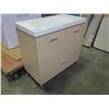 Image 1 : LIGHT FINISH BATHROOM CABINET WITH SINK