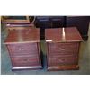 Image 1 : PAIR OF 2-DRAWER END TABLES