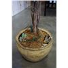 Image 3 : 6-1/2FT TALL ARTIFICIAL TREE