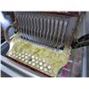 Image 3 : RAIORGEL ACCORDION AS IS