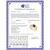 Image 2 : 0.40 CTW Mens Black Color Diamond Square Cluster Ring 10KT Yellow Gold - REF-41M9H