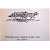 Image 13 : Indian Why Stories Early Ed. Linderman C.M.Russell