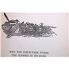 Image 14 : Indian Why Stories Early Ed. Linderman C.M.Russell