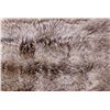 Image 9 : North American Coyote Silk Lined Throw Blanket