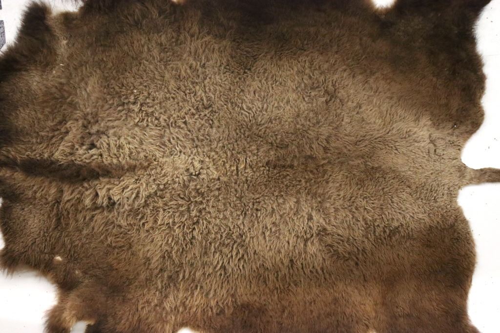 Montana Wild Buffalo Trophy Winter Fur Hide Rug