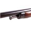 Image 8 : Winchester Model 63 Auto Loading .22 Rifle c. 1949
