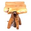 Image 2 : Rustic Hand Made Cedar Log End Table