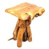 Image 4 : Rustic Hand Made Cedar Log End Table