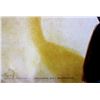 Image 8 : L'instant Taittinger Grace Kelly 70"x49" Poster