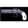 Image 2 : Allen & Thurber Factory Engraved Pepperbox - Ivory