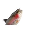 Image 3 : Hand Carved Trophy Trout Figurine by Eric Thorsen