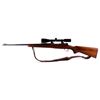 Image 2 : Winchester Model 70 270 WCF Bolt Action Rifle 1950