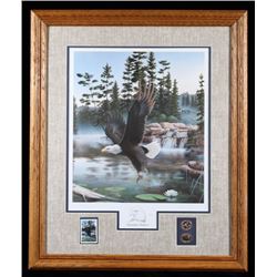 Boundary Waters Eagle Photo