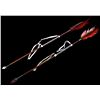 Image 2 : Six Beaded Leather Sioux Native American Arrows
